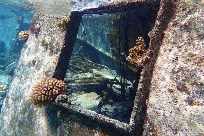 Reef Discovery Private Treasure Hunt - Guide quality: how the hunt stays fun for kids of different ages
