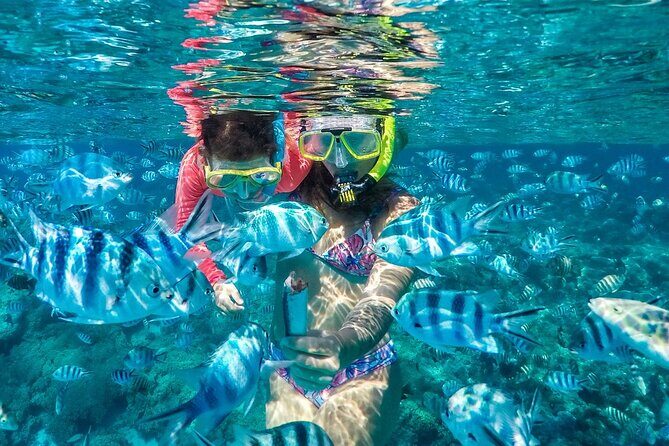 Reef Discovery Private Treasure Hunt - The 3.5 hours that keep kids engaged from clue to shipwreck