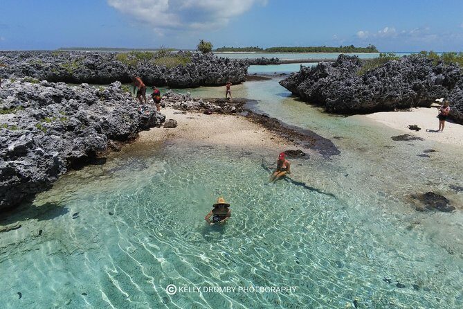 Reef island private tour - A Motu Day in Rangiroa That’s More Than Just Swimming