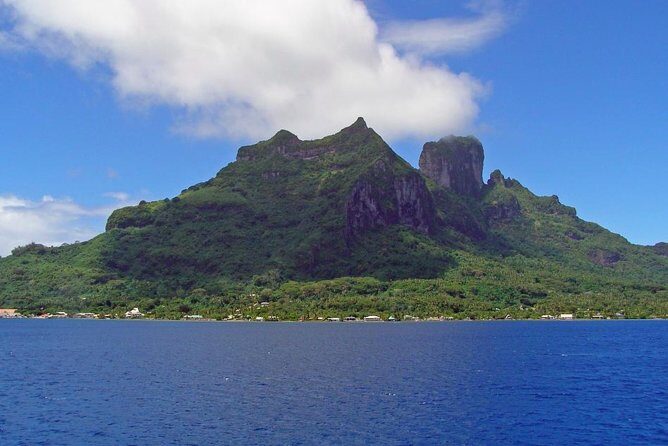SHARED FULL DAY CULTURAL & LAGOON TOUR - Bora Bora Cultural Lagoon Tour - Fruit trees and medicinal plants: learning that feels local, not staged