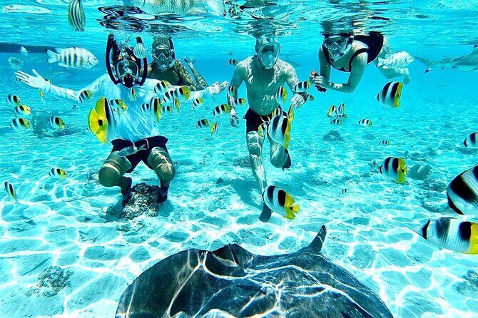 SHARED HALF DAY LAGOON TOUR - Bora Bora Cultural Lagoon Tour - Key points to know before you go
