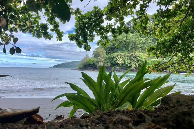 Shared Transfer: Hotel or Cruise Port to Tahiti Airport - Inside the ride: comfort you’ll actually notice before check-in