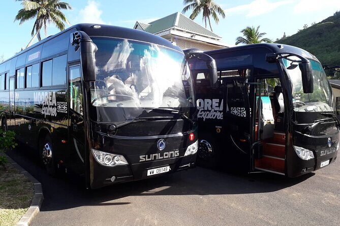 Shared Transfer : Hotel to Moorea Airport (or) Pier - Key Takeaways for Your Moorea Departure