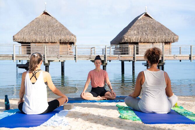 Shared Transfer : Hotel to Moorea Airport (or) Pier - Price and Value: When $12.26 Makes Sense
