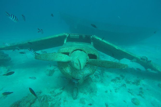 Small group snorkeling (5 people max): wrecks & tropical fishes at 1:00pm - Price and value: is $99.67 worth it?