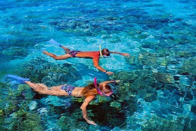 Small group snorkeling (5 people max): wrecks & tropical fishes at 10:30am - The underwater stars: swimming the plane and two boats