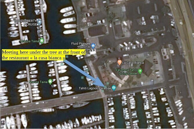 Small group snorkeling (5 people max): wrecks & tropical fishes at 3:30pm - The wreck lineup: plane and two boats (and what you’ll look for)