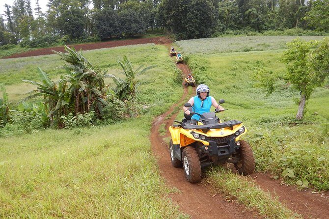 Small Quad Tour 2h30 Quad excursion in Moorea (single or two-seater) - Lycée Agricole Opunohu: pineapple fields and a quick local tasting