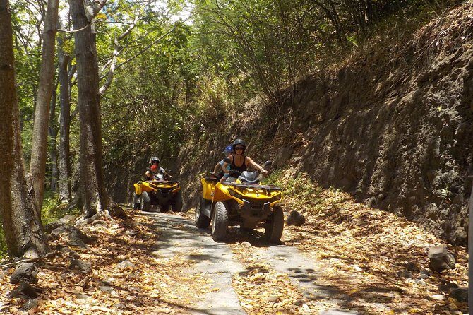 Small Quad Tour 2h30 Quad excursion in Moorea (single or two-seater) - Price value: is $114.18 worth it?