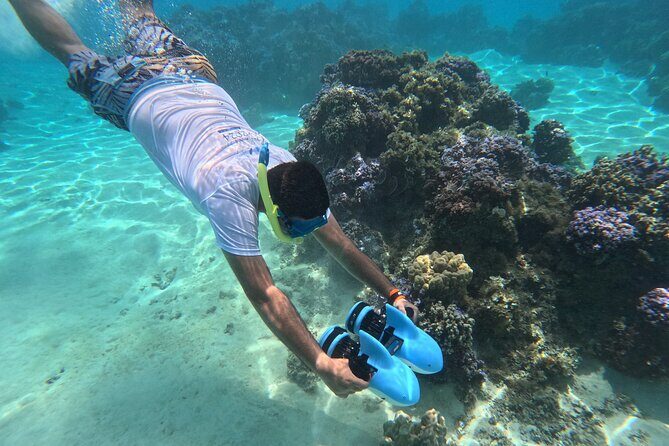 Snorkeling EN Underwater Scooter in Tahiti - Key takeaways before you go