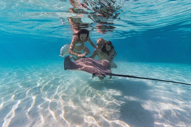 Snorkeling Tour in Moorea Aquatic Adventure Half Day - Key highlights you’ll care about