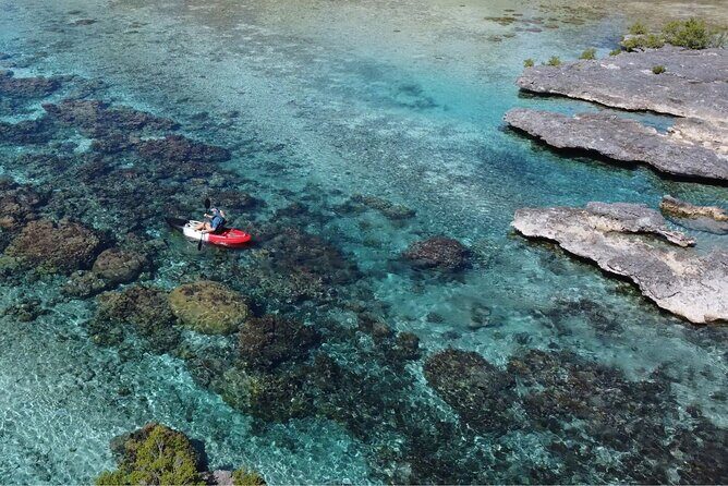 Tahaa: Kayaking Rental - Coral Garden - Snorkeling - Comfort and Control: Why the Kayaks Matter More Than You Think