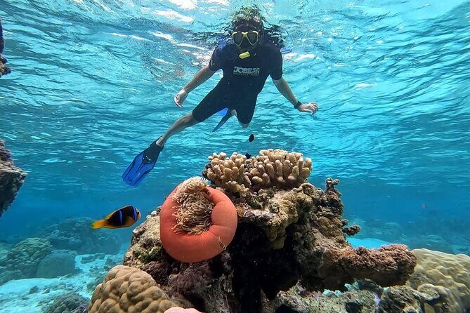 Tahaa: Kayaking Rental - Coral Garden - Snorkeling - Price and Value: Is $36.44 Worth It?