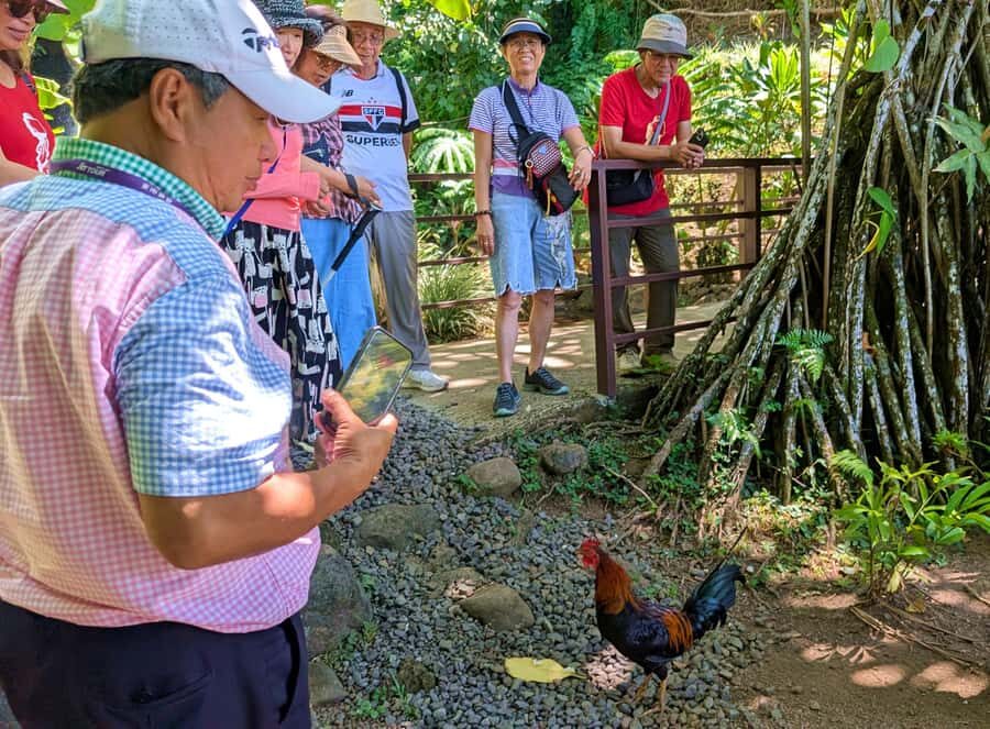 Tahiti Classical Coastal Full Day Private Tour - What Makes This Private Day on Tahiti Feel Efficient