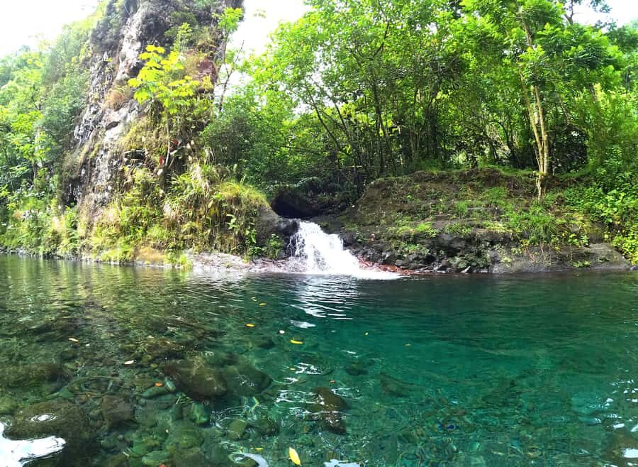 Tahiti E-bike, mtb, vtt Tour with Swimming and Lunch - A 5-hour plan that mixes climbing, swimming, and dam views
