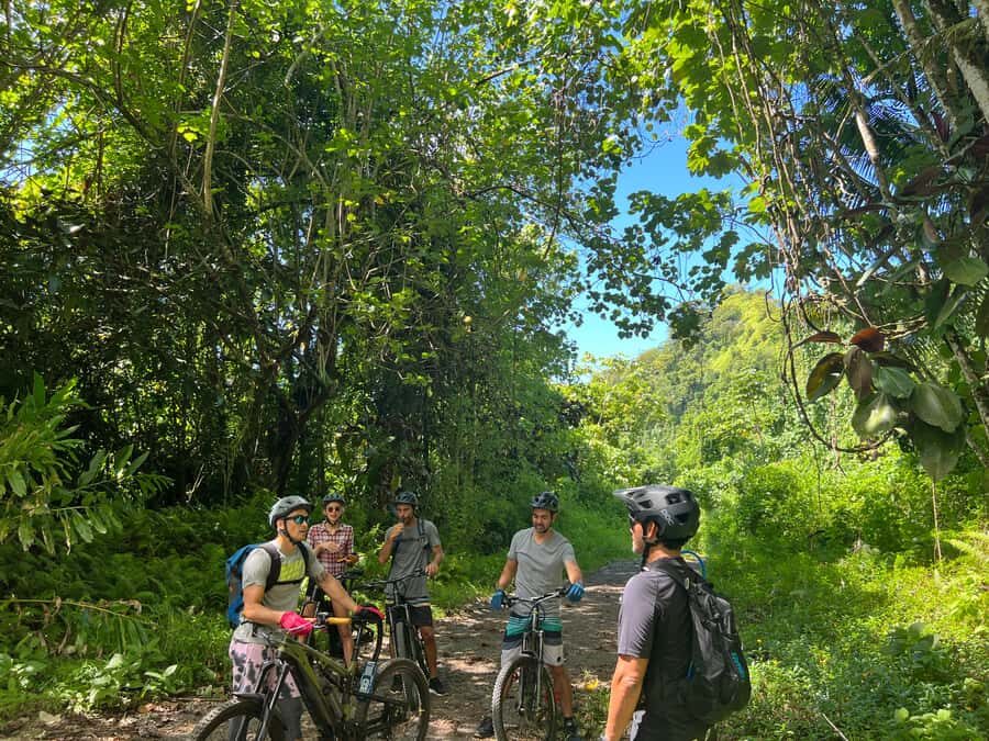 Tahiti E-bike, mtb, vtt Tour with Swimming and Lunch - Climbing on the 4x4 track with electric assist (and how to read the terrain)