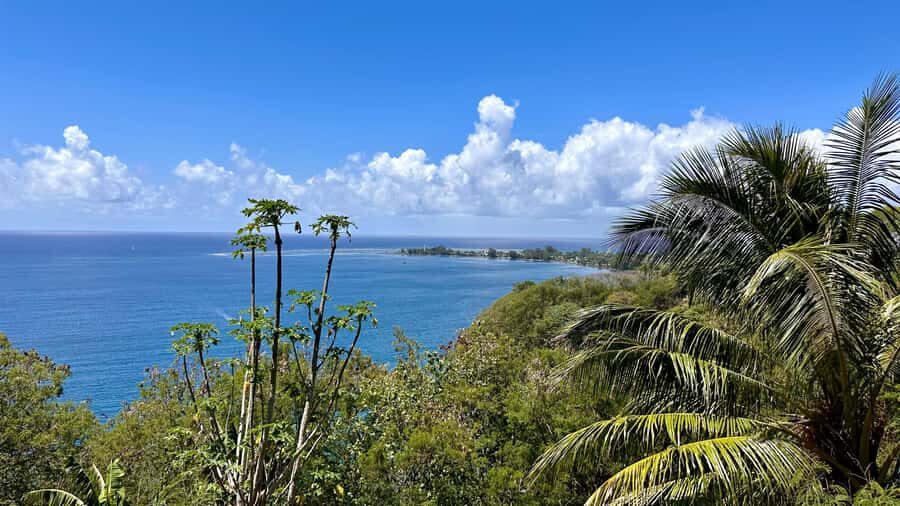 Tahiti: East or West coast tour (Half Day) - East Coast route: Pointe Vénus, cliffs, and waterfall calm