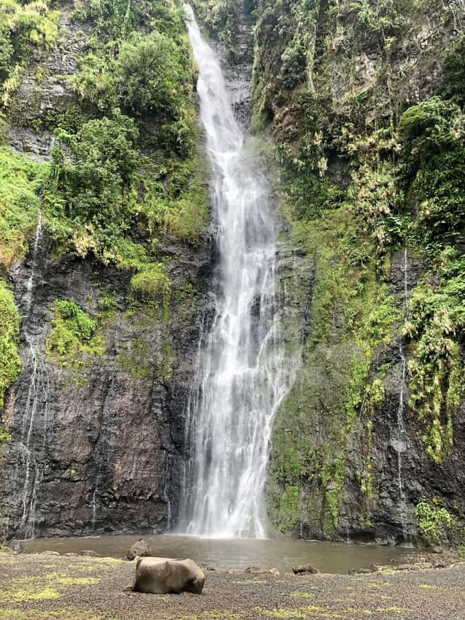 Tahiti: East or West coast tour (Half Day) - Price and value: is $550 per group up to 4 a fair deal?