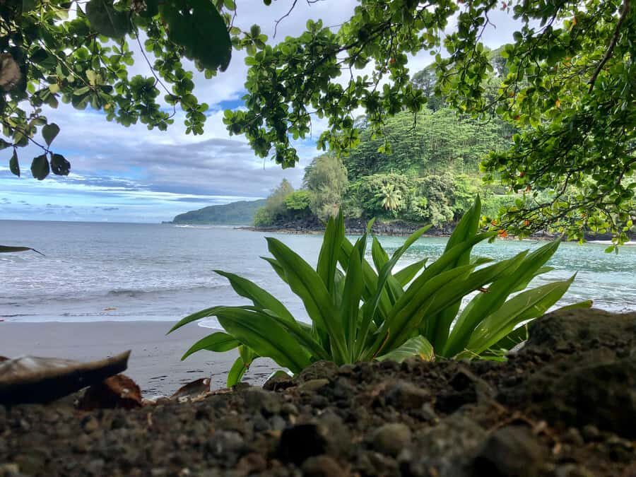 Tahiti: East or West coast tour (Half Day) - What I’d pack and plan for a smooth half-day