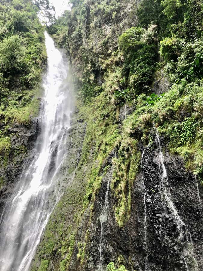 Tahiti: East or West coast tour (Half Day) - Who this half-day Tahiti coast tour suits best