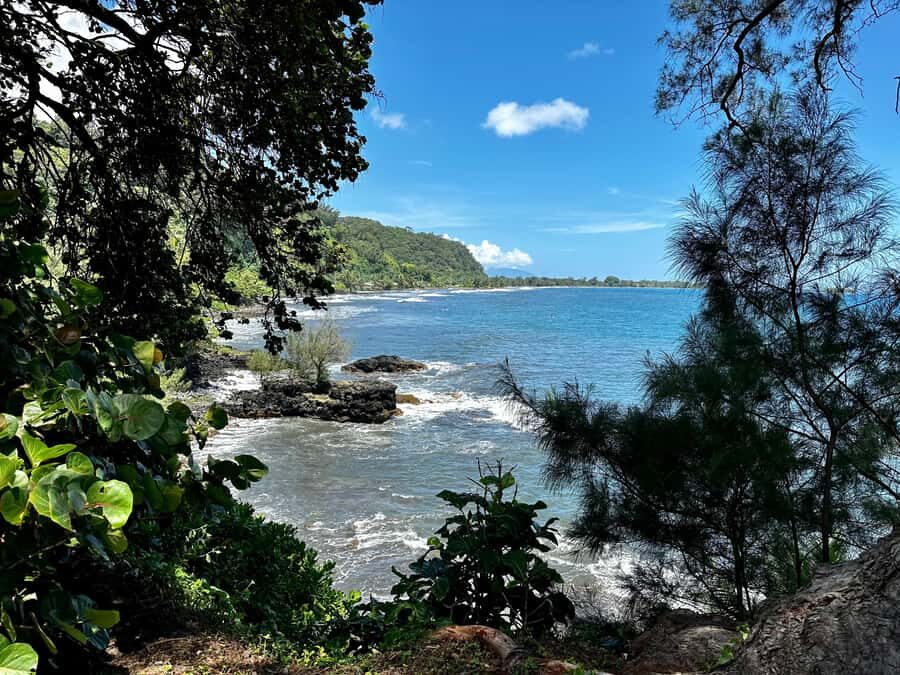 Tahiti: East or West coast tour (Half Day) - Your private, air-conditioned ride: smooth logistics with real flexibility