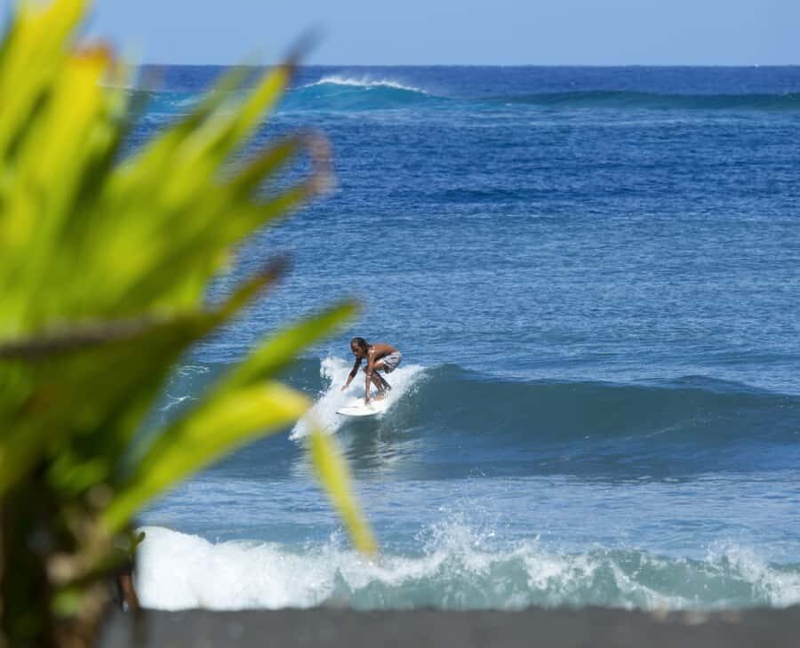 Tahiti: Private Half Day Culture and Nature Highlights Tour - How this private minivan tour works (and why it matters)