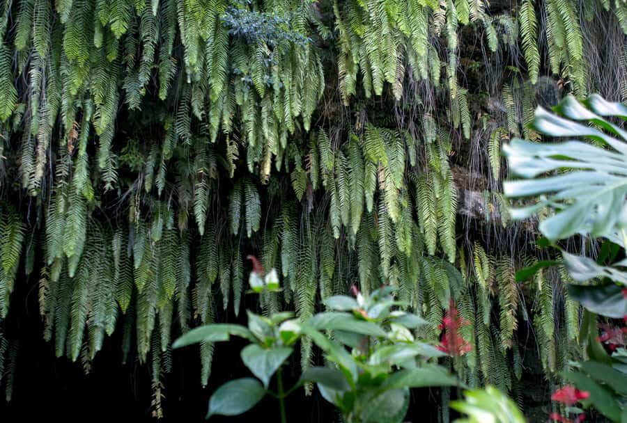 Tahiti: Private Half Day Culture and Nature Highlights Tour - Stop 1: Marae Arahurahu and the feeling of a sacred stone site