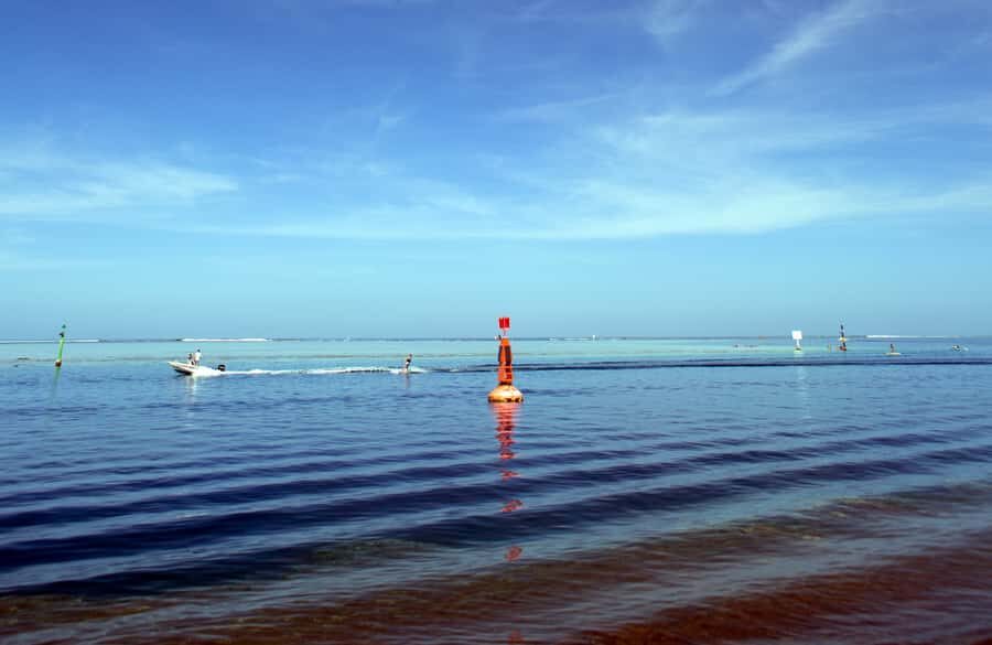 Tahiti: Private Half Day Culture and Nature Highlights Tour - What you’ll see from the road: lagoons, mountains, and real orientation