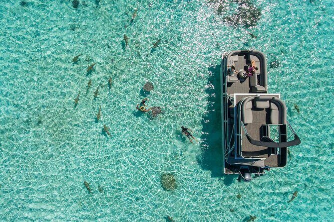 Toa Boat Bora Bora Private Lagoon tour On Ambassador Boat - Manta Rays and Sharks: What Makes This Feel Worth It