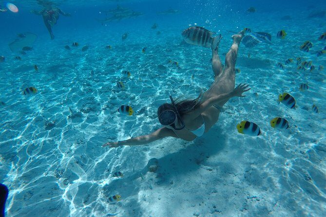 Toa Boat Bora Bora Private Lagoon tour On Ambassador Boat - The Island Tour Portion: What You’ll Be Doing