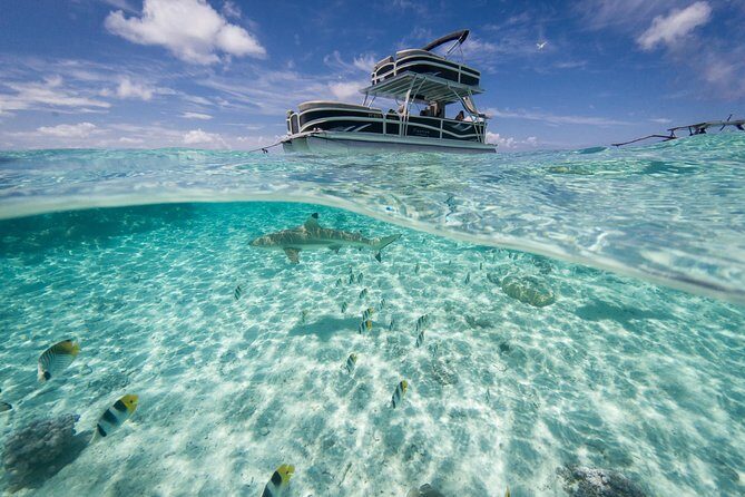 Toa Boat Bora Bora Private Lagoon tour On Ambassador Boat - What’s Included, and Why It Changes the Value Math