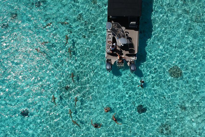 Toa Boat Bora Bora Private Lagoon Tour On Entertainer Bar Boat - What the Entertainer Bar Adds to Your Day