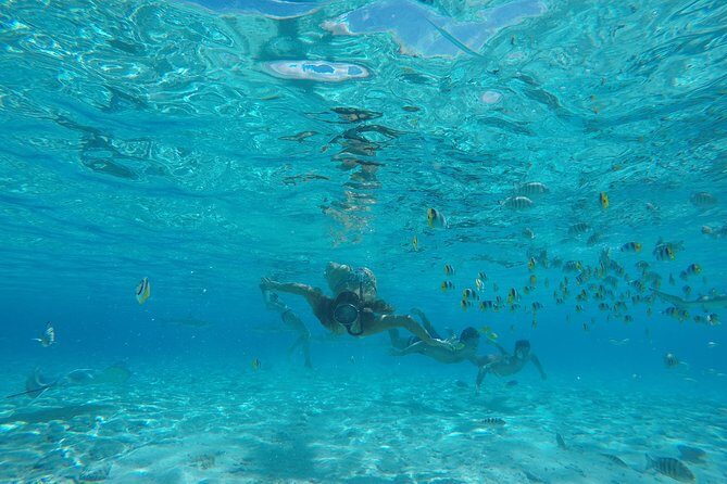 Toa Boat Bora Bora Private Lagoon Tour On Entertainer Bar Boat - Snorkeling Gear, Marine Life, and How to Get the Most Out of It
