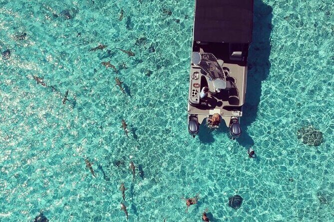 Toa Boat Bora Bora Private Lagoon tour with Lunch on Entertainer Bar Boat - Optional Barbecue on a Motu or in the Heart of the Lagoon