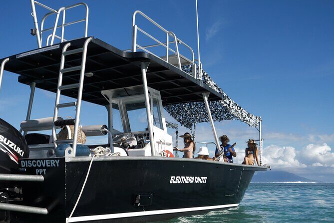Whale Watching Activity - Safety rules and pro guidance: how close contact stays respectful