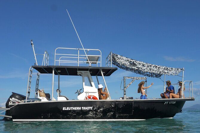 Whale Watching Activity - Tiny-in-the-water group and long-time crew