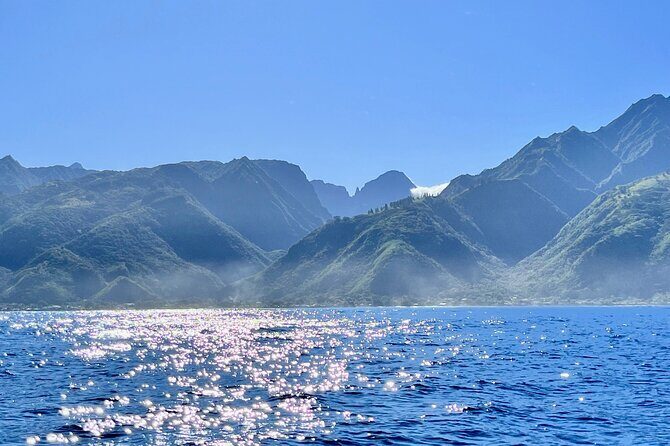 Whale watching DE Humpback West Coast of Tahiti - Who should book this tour—and who should think twice