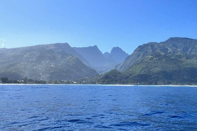 Whale watching DE Humpback West Coast of Tahiti - How Tahiti humpback watching works (and why sightings aren’t promised)