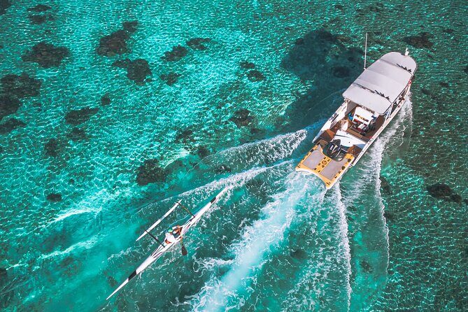 Whale Watching Shared Half Day - Price and value: why $270 can make sense here