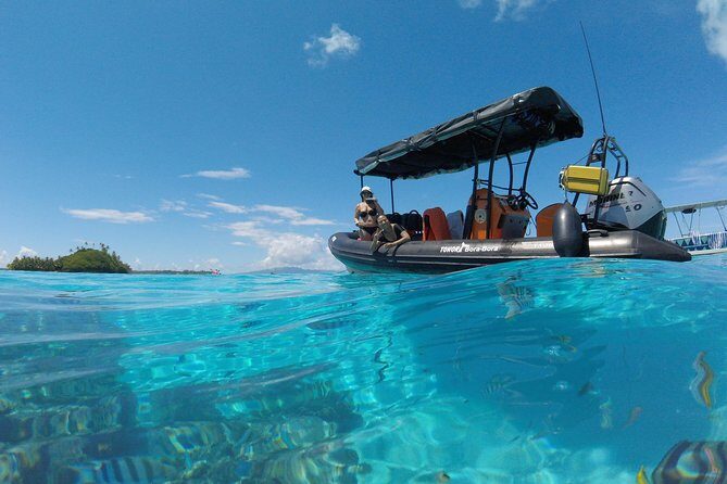 Whale Watching Tours in Bora Bora - Snorkeling Lagoon + Whale Watching: What That Combo Means